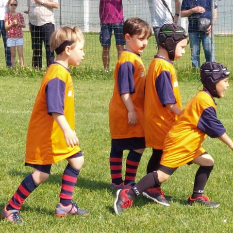 Minirugby Rugby Bologna 1928