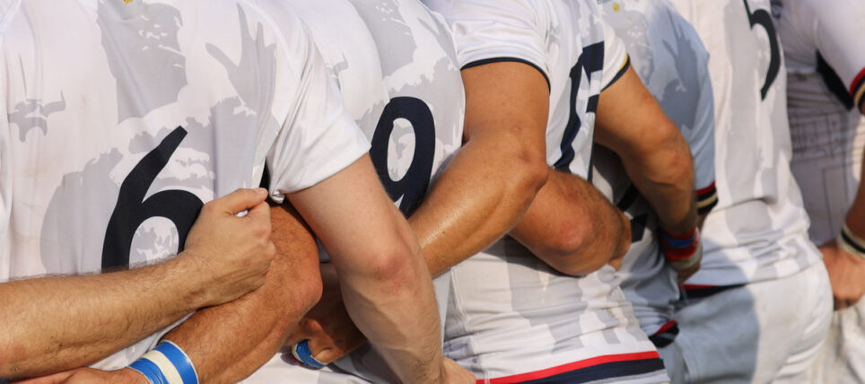 I numeri del Bologna Rugby Club