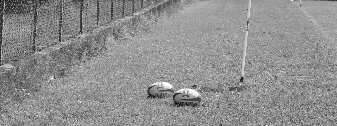 Bologna Rugby: spettatori poco educati, primi provvedimenti della Società
