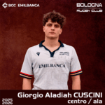 Giorgio Aladiah Cuscini