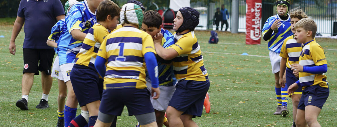 U12. Bologna e Reno insieme al Memorial Azzolari